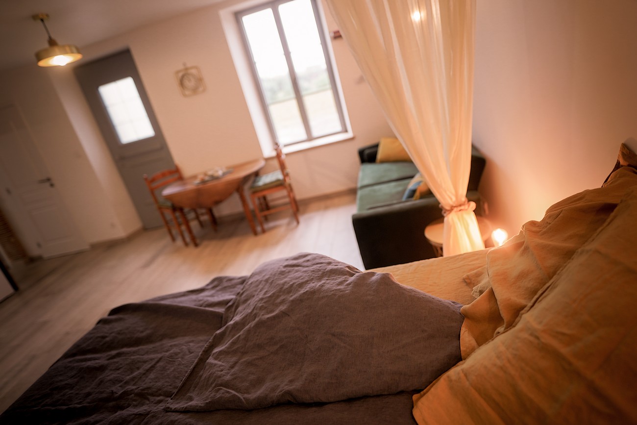 Gîte Maison La Roulière, Mauléon - photo 7