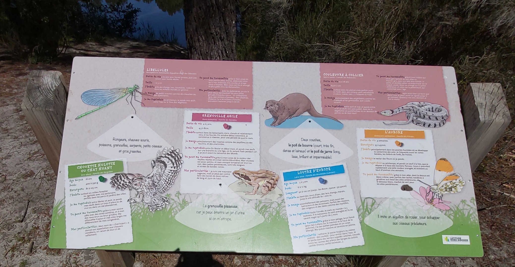 Balade à roulettes : Les lacs de Saint-Christoly-de-Blaye, Saint-Christoly-de-Blaye