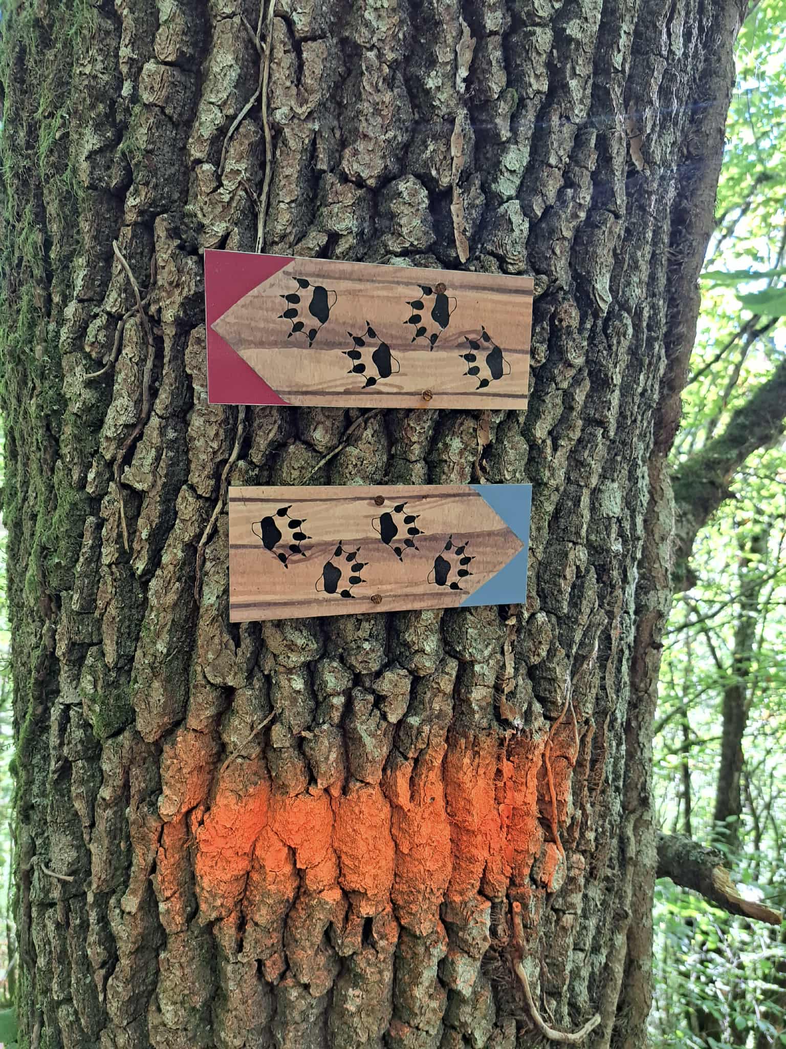 Sentier d'interprétation — photo 3