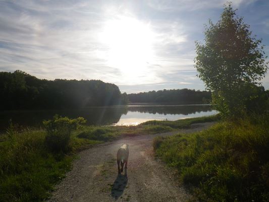 Lac des Graoussettes