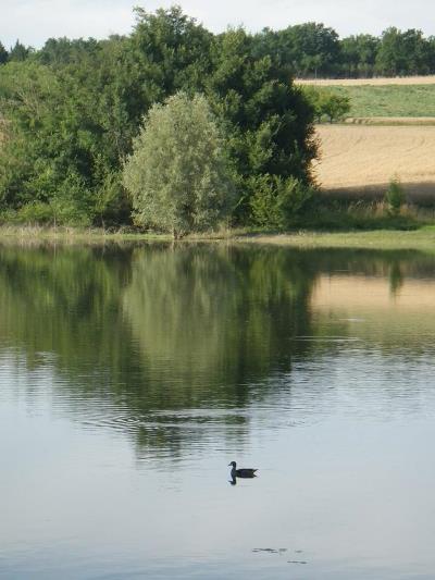 Lac des Graoussettes - photo 5