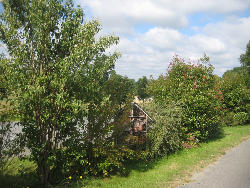 Boucle de Lo Sendero Dau Verdier - photo 5