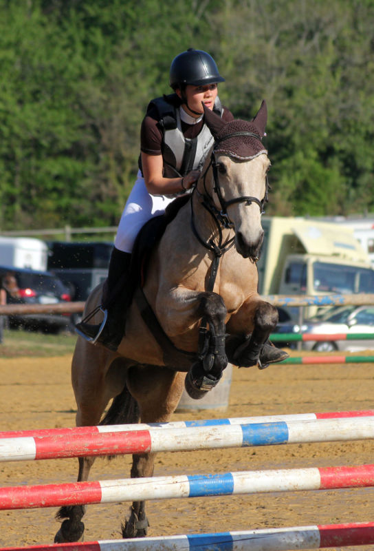 Les écuries de Saint Damien