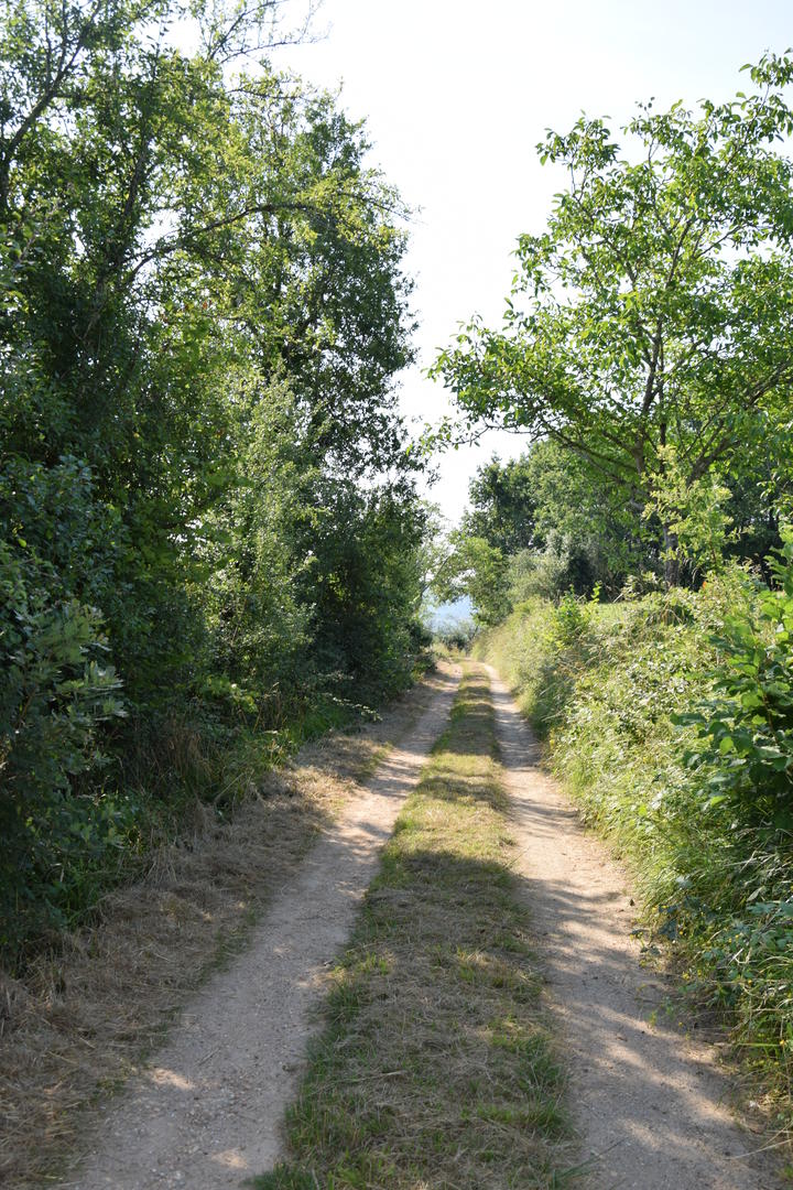 Boucle des coteaux Nord à St Léon, Saint-Léon-sur-l'Isle - photo 3