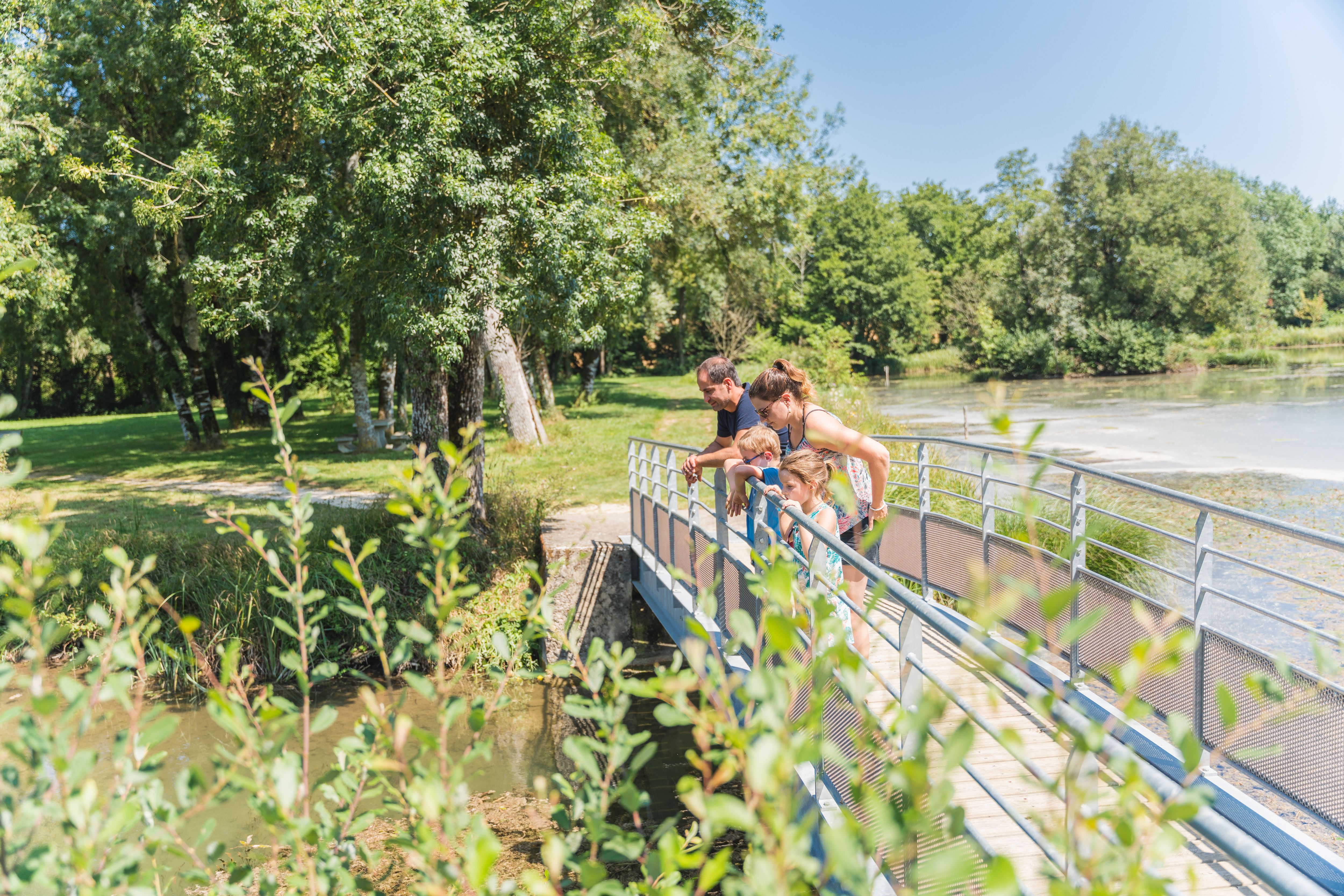 La Vallée des Buis - photo 2