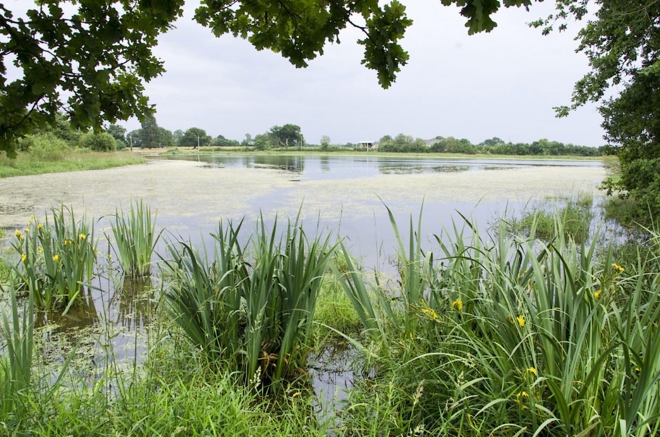 Espace Naturel Sensible Etang de Beaurepaire