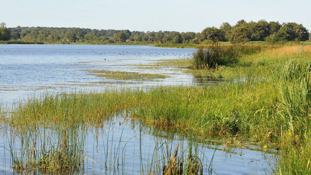Espace Naturel Sensible Etang de Beaurepaire, Saint Maurice Étusson