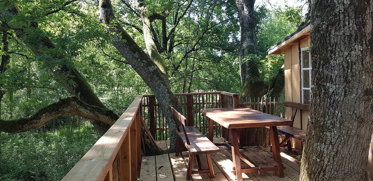 Domaine Chantoiseau - Cabane dans les arbres, Tente trappeur, Tipi, Saint-Pierre-des-Échaubrognes - photo 15