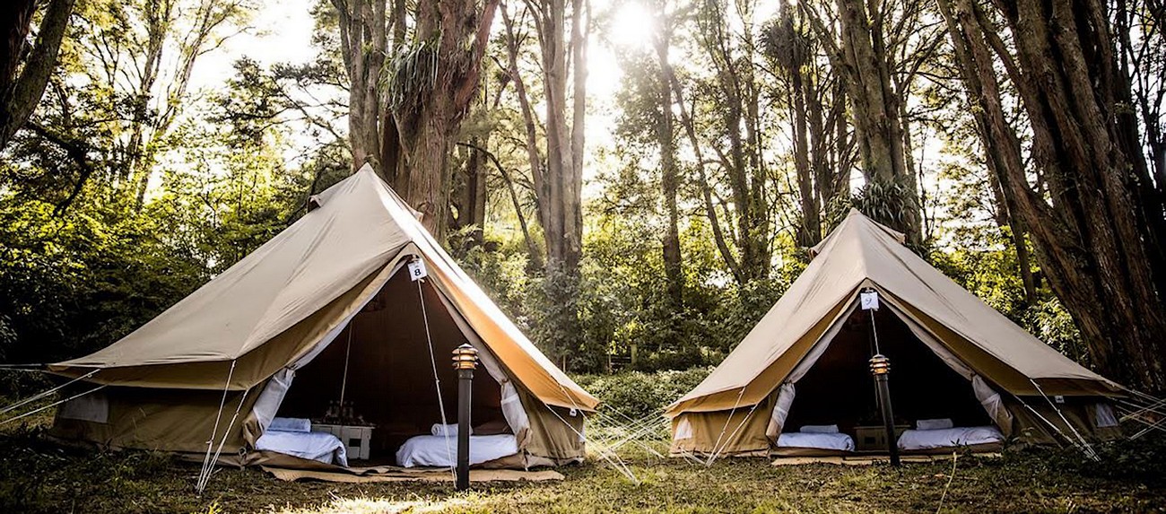 Domaine Chantoiseau - Cabane dans les arbres, Tente trappeur, Tipi, Saint-Pierre-des-Échaubrognes - photo 4