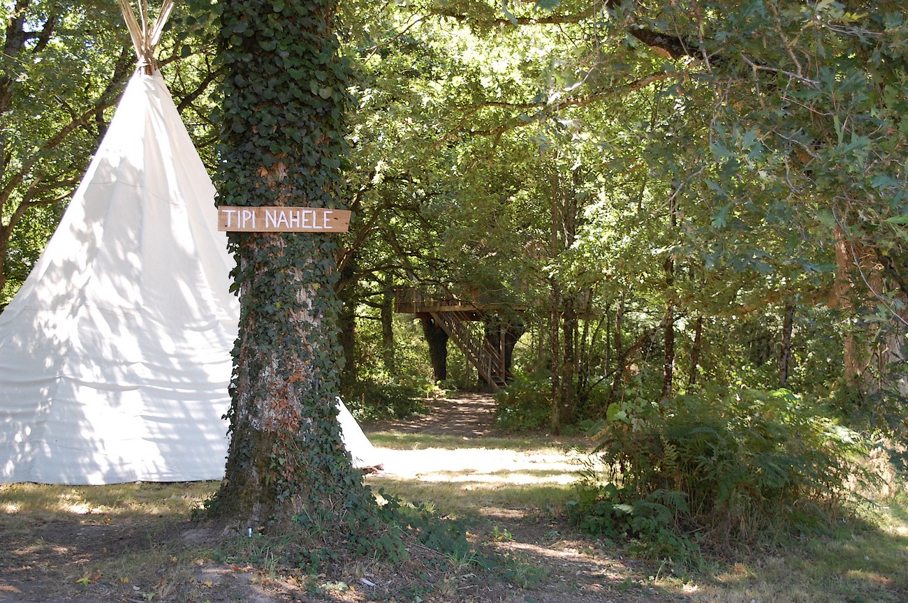Domaine Chantoiseau - Cabane dans les arbres, Tente trappeur, Tipi, Saint-Pierre-des-Échaubrognes - photo 14