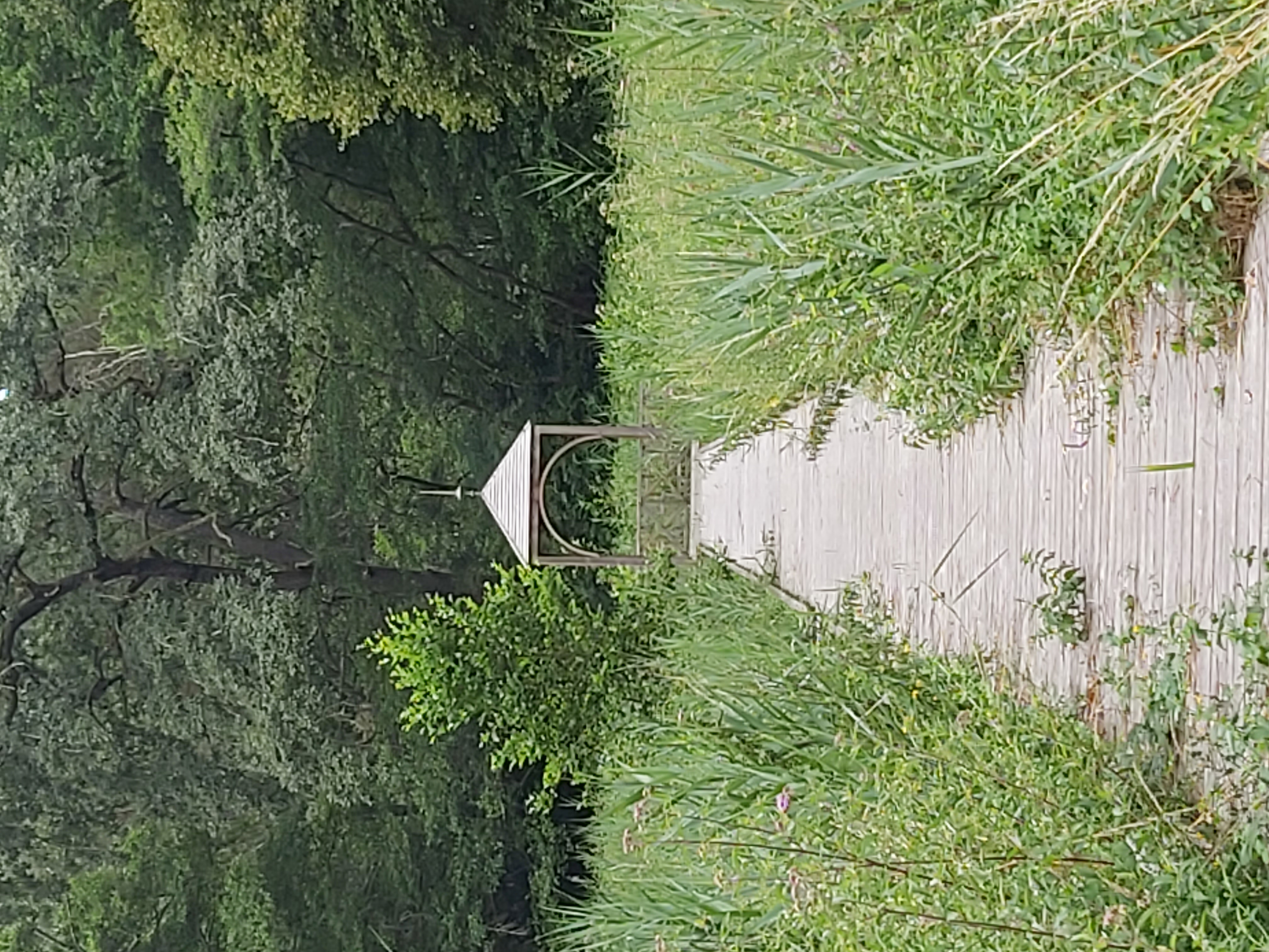 Balades à roulettes - Chalet François Mauriac - Saint-Symphorien, Saint-Symphorien - photo 3