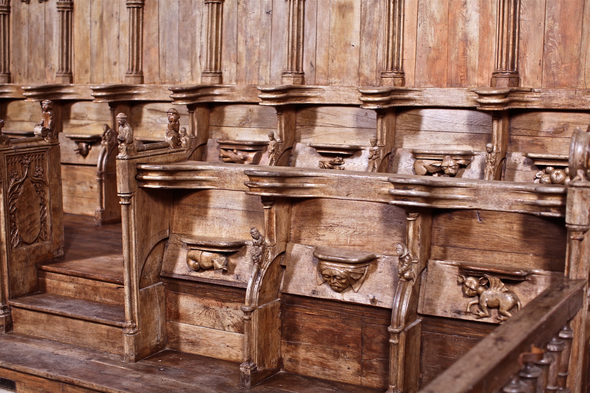 sentier des étangs, Mortemart - photo 3