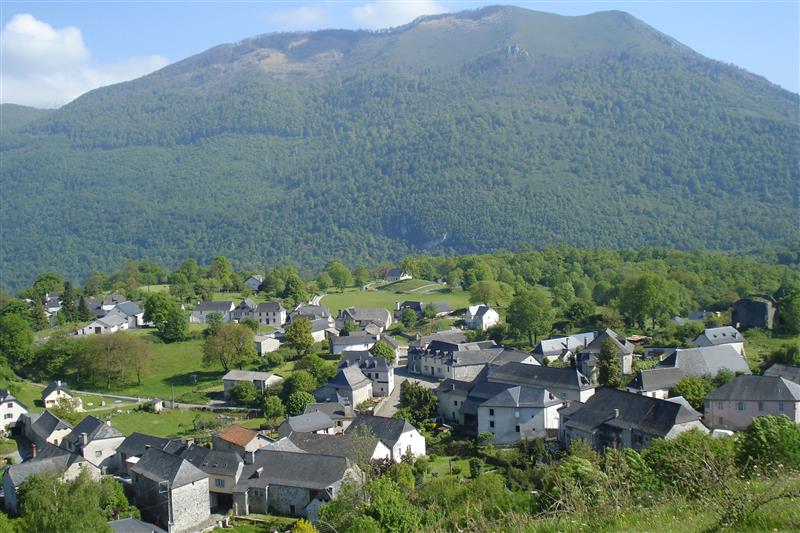 La tourbière