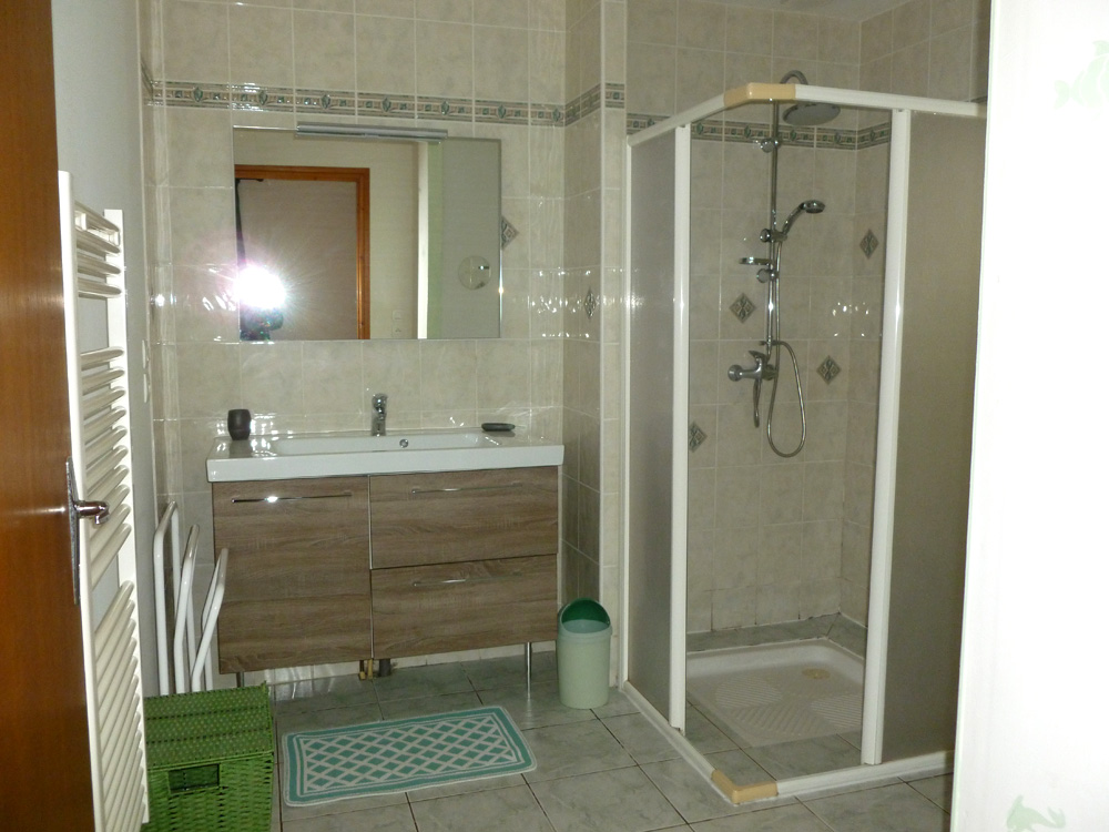 La Fosse aux Loups, Sainte-Radégonde - photo 6