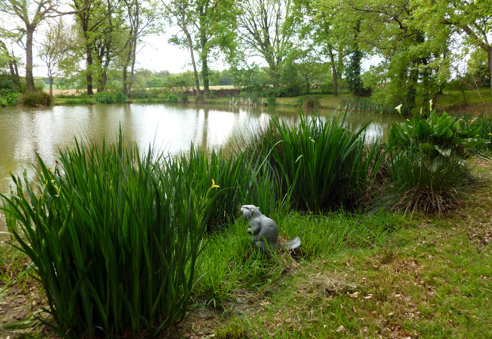 La Petite Fosse aux Loups, Sainte-Radégonde - photo 10