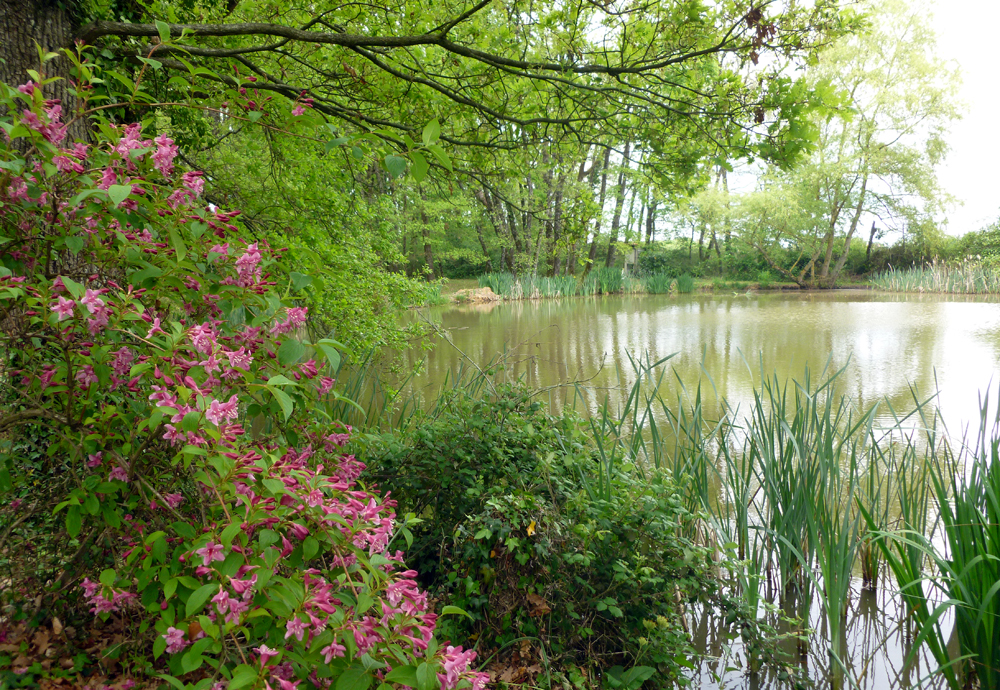 La Petite Fosse aux Loups, Sainte-Radégonde - photo 7