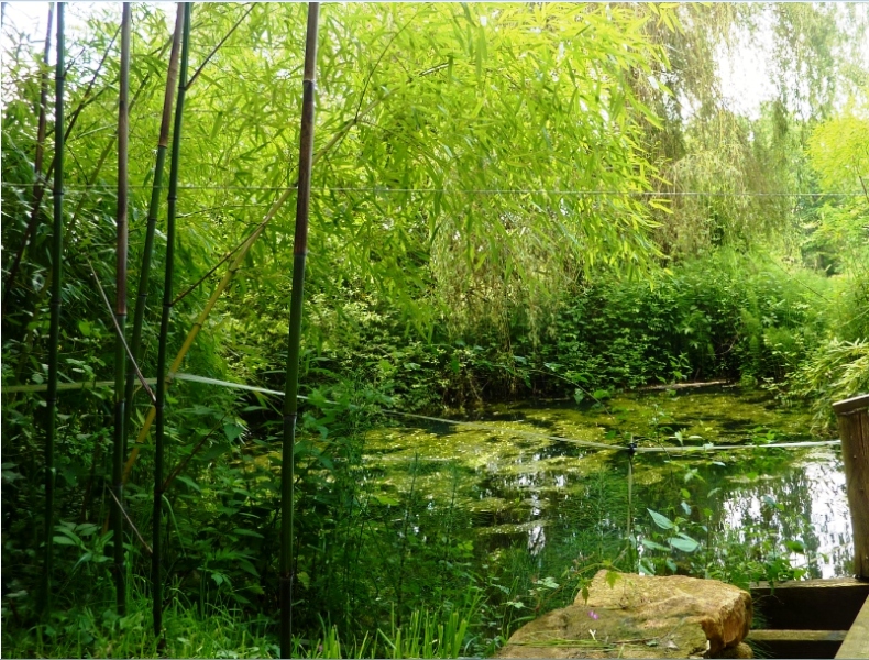 Boucle des Fontaines - photo 3