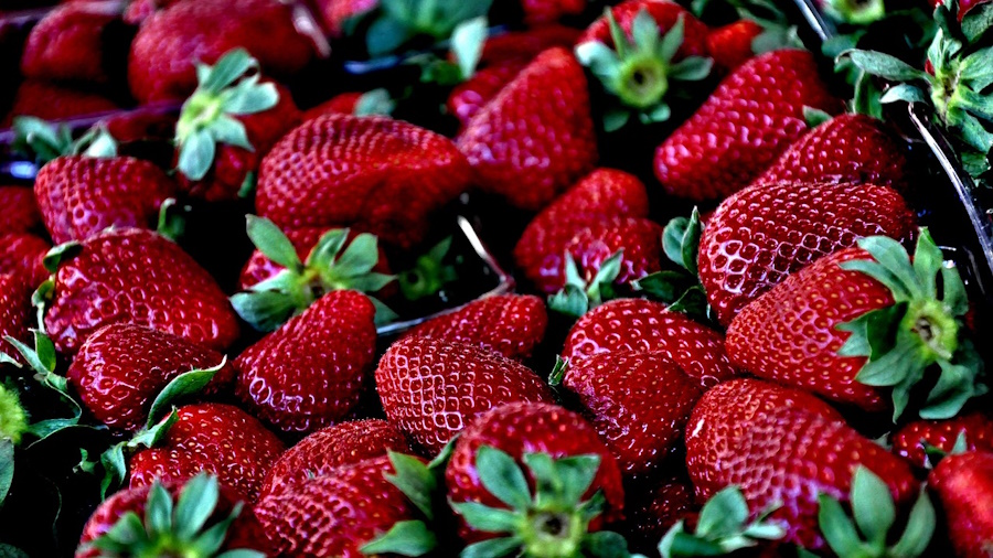 Marché à Saint-Pardoux-Le-Lac — visuel événement