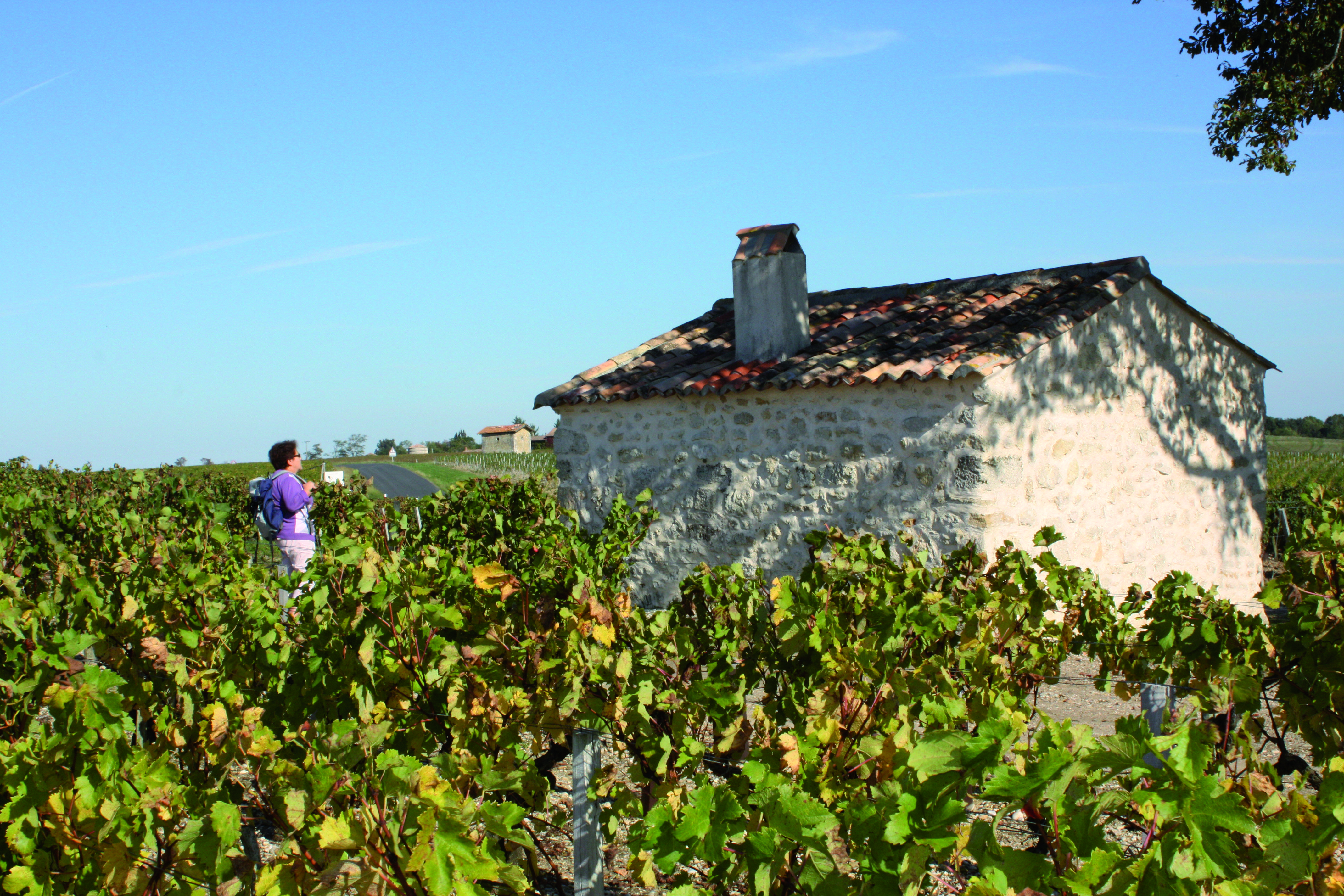 Circuit des Cabanes de Vigne - photo 2