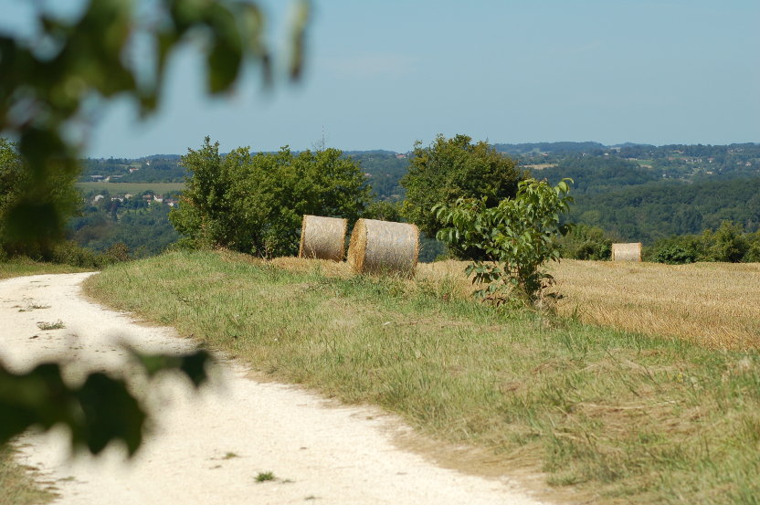 Boucle des roseaux et des orchidées, Saint-Victor - photo 3