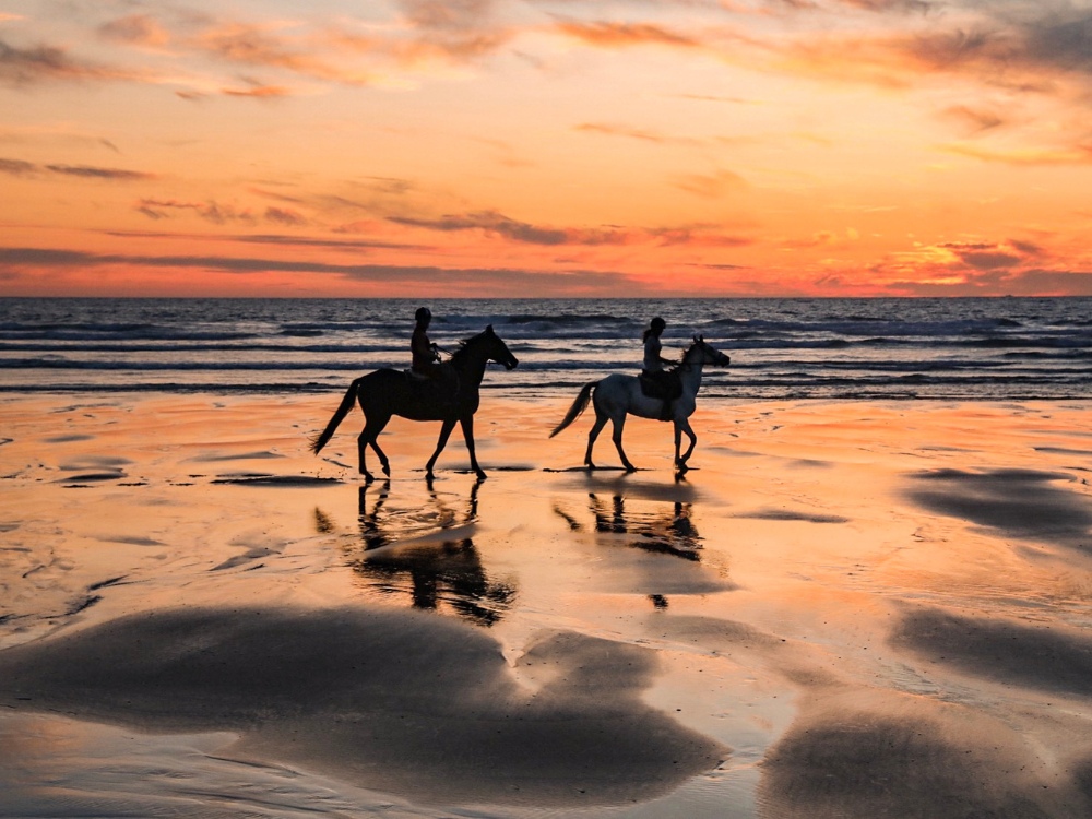 Centre équestre - Sunset Ranch Seignosse