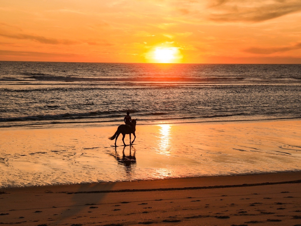 Centre équestre - Sunset Ranch Seignosse, Seignosse - photo 5