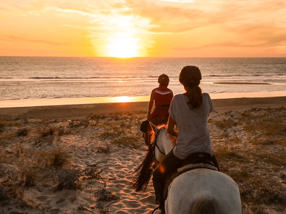Centre équestre - Sunset Ranch Seignosse, Seignosse - photo 3