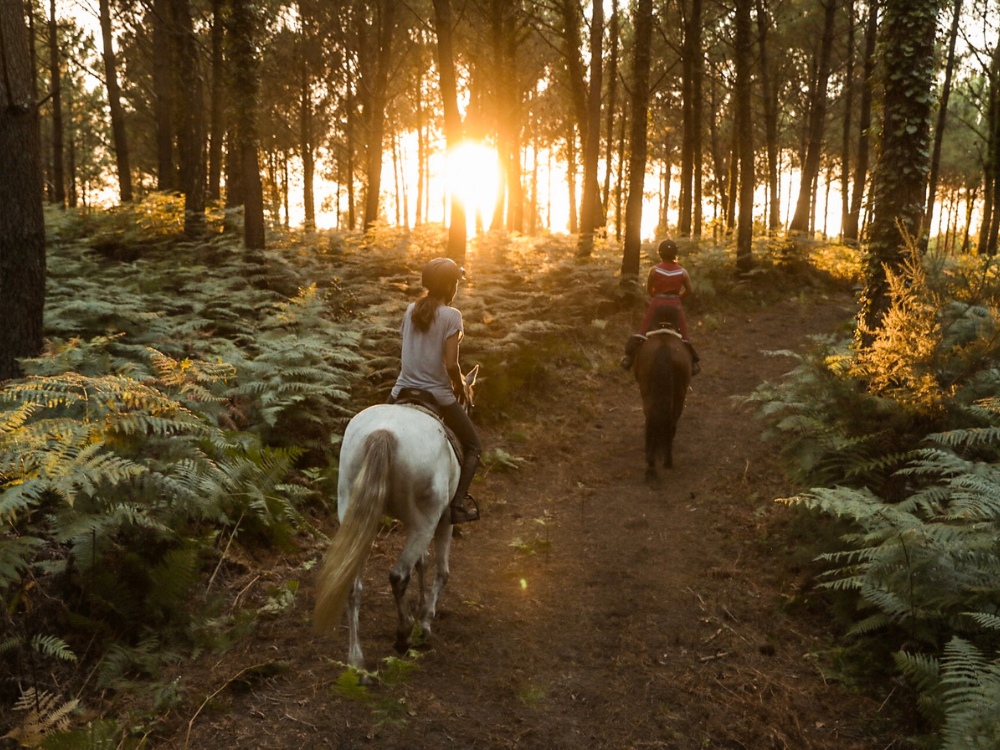 Centre équestre - Sunset Ranch Seignosse, Seignosse