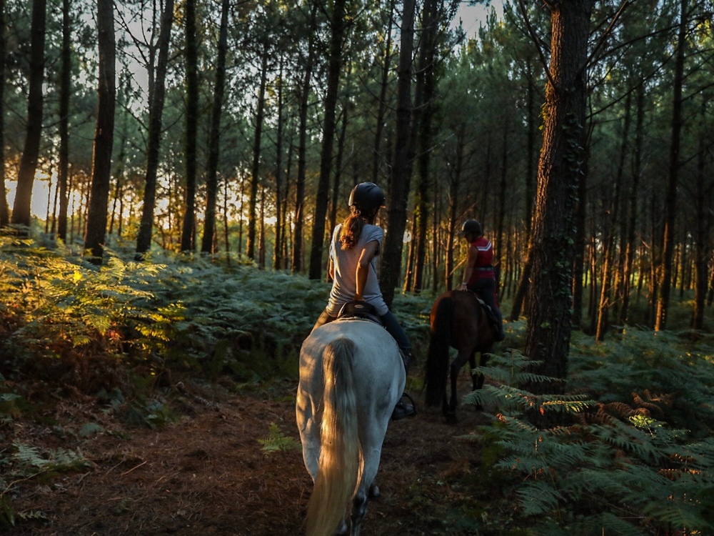 Centre équestre - Sunset Ranch Seignosse, Seignosse - photo 4