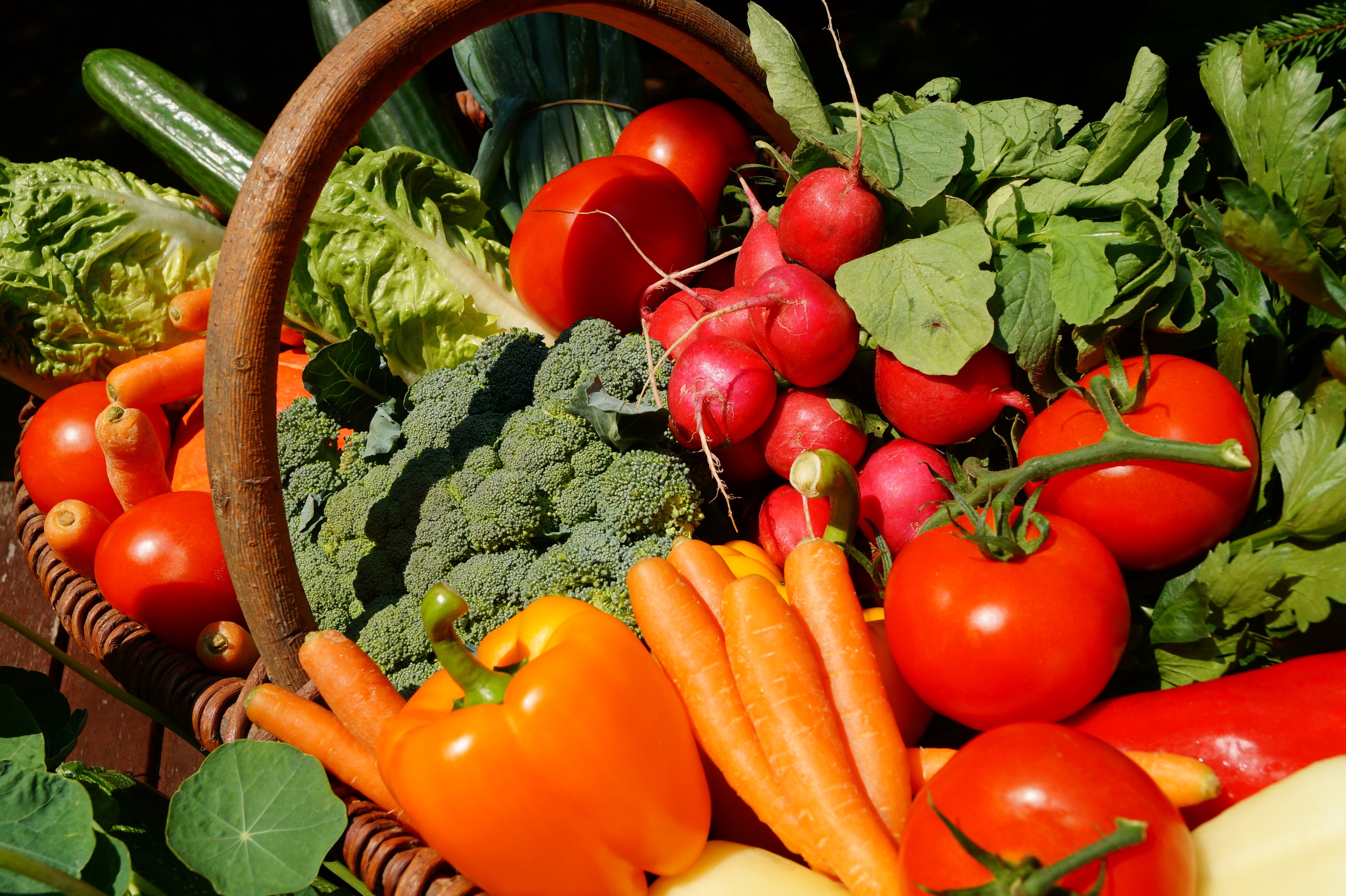 Marché gourmand — visuel événement