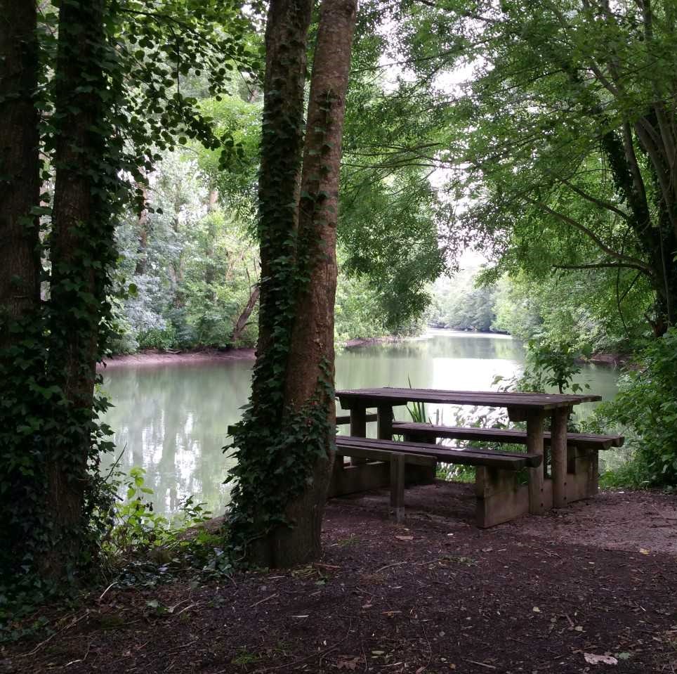 Aire de pique-nique à Saint Maxire