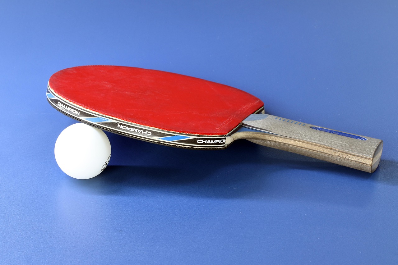 Tournoi de tennis de table