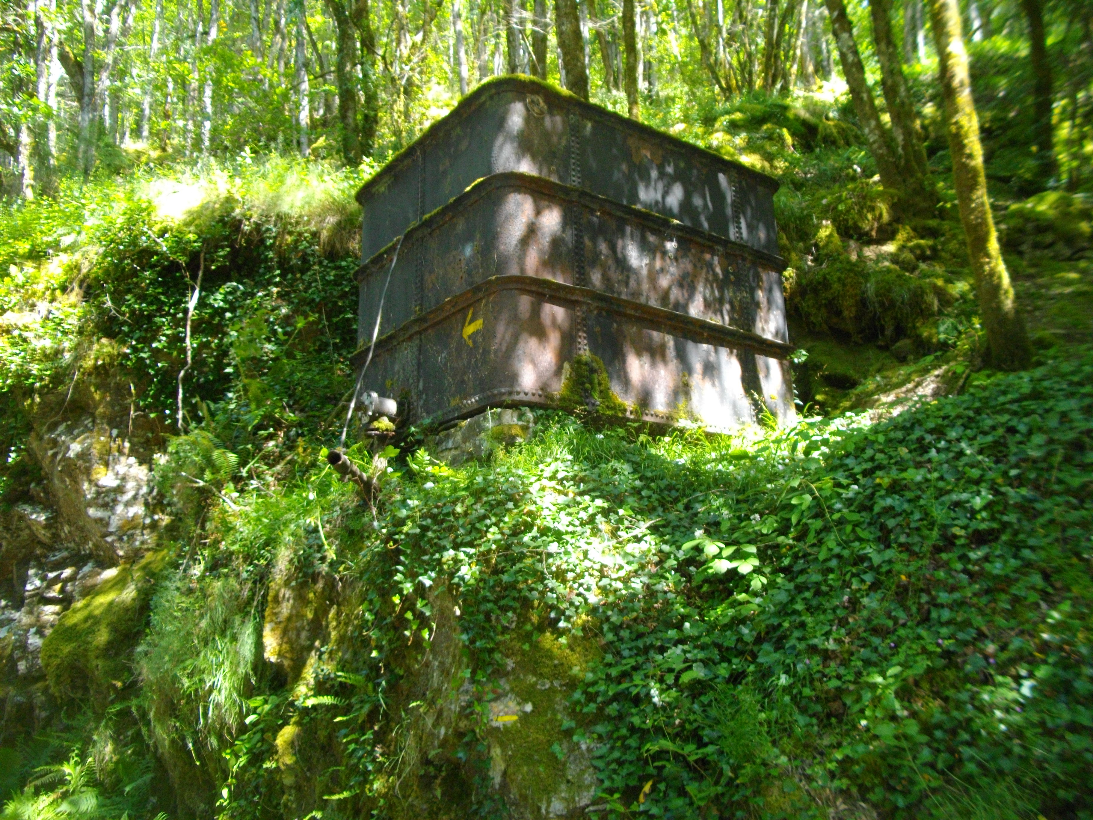 Viaduc des Rochers Noirs : Le Jardin de Firmin, Soursac - photo 5