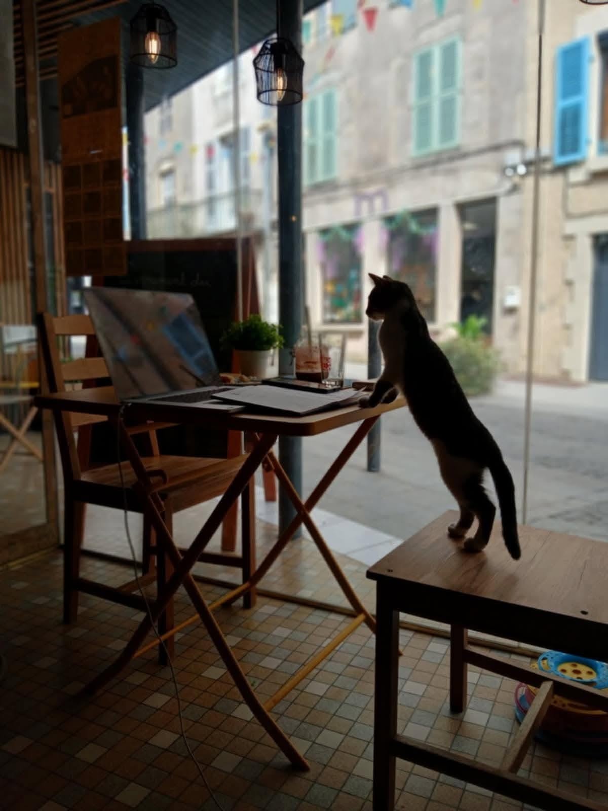 Tchica café et Ressourcerie