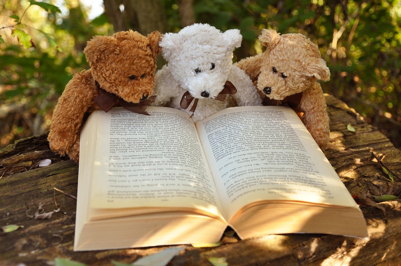 Bébés lecteurs — visuel événement