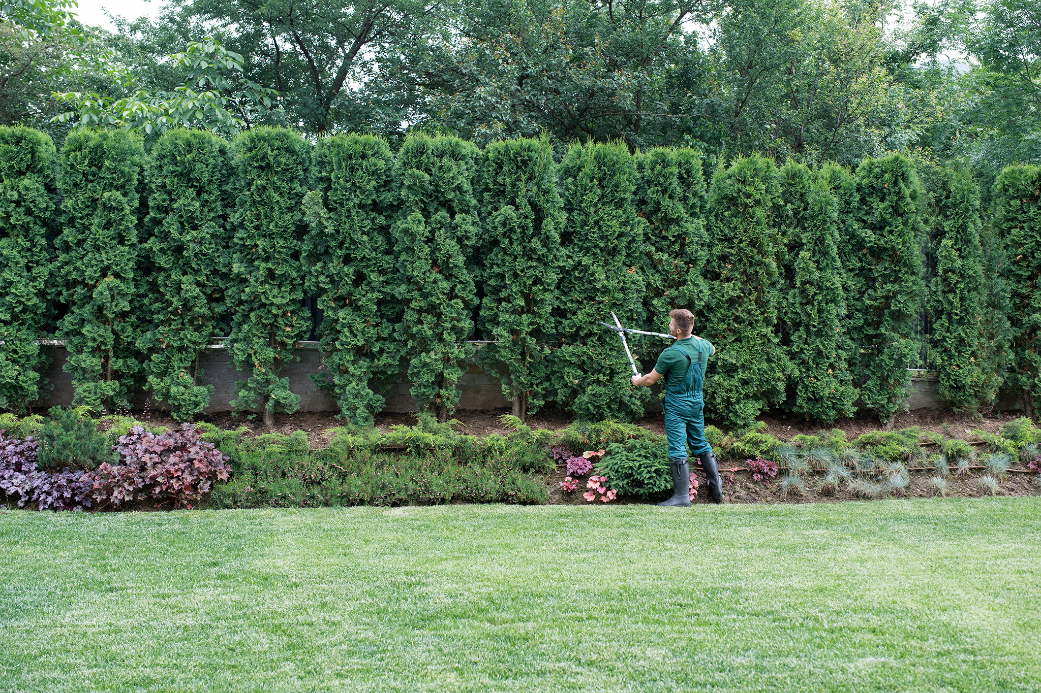 Les Nouveaux Jardins — photo 3