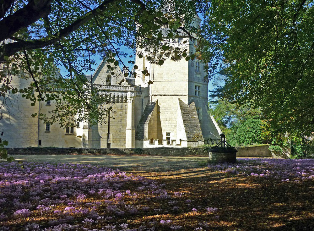 Château de Ternay, Ternay - photo 8