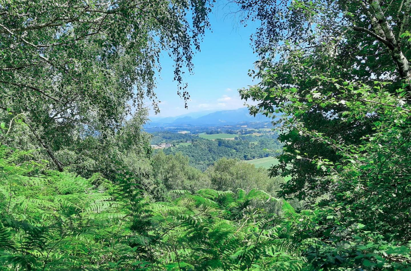 Géocaching Terra Aventura : l'aventure, c'est comme la garbure... - photo 5