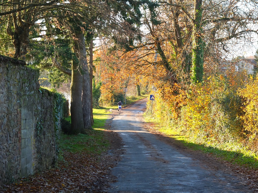 Géocaching Tèrra Aventura "Ma campagne au Canada" : chasse au trésor à Cerizay - photo 3