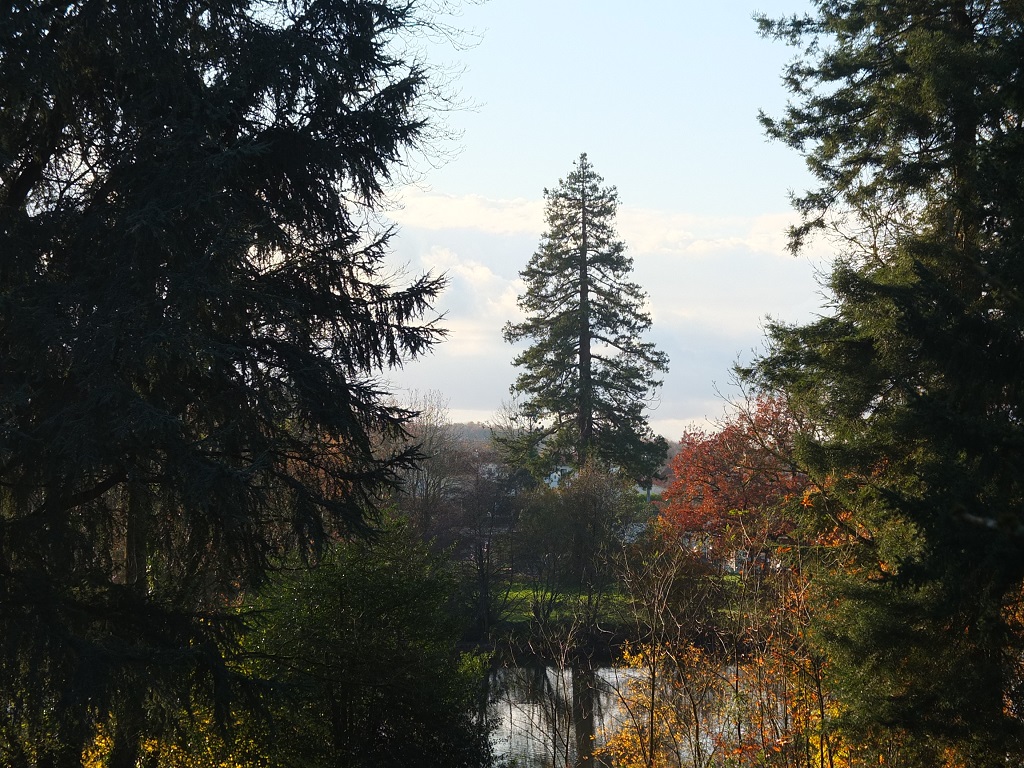 Géocaching Tèrra Aventura "Ma campagne au Canada" : chasse au trésor à Cerizay - photo 4