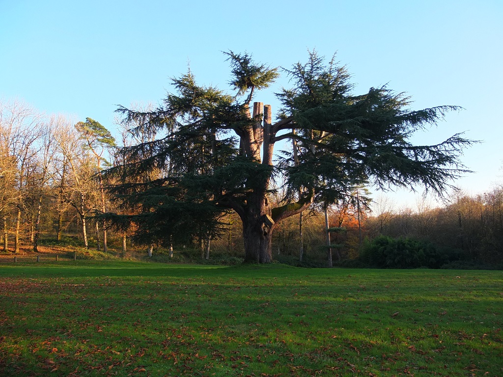 Géocaching Tèrra Aventura "Ma campagne au Canada" : chasse au trésor à Cerizay - photo 2