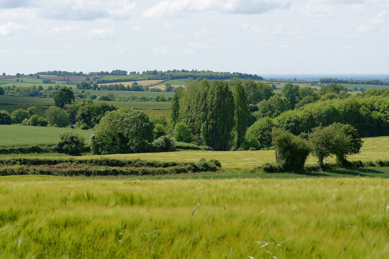 Geocaching Tèrra Aventura "Cache-Cache en Bressuirais" : la Micro Z'Aventure du Bocage