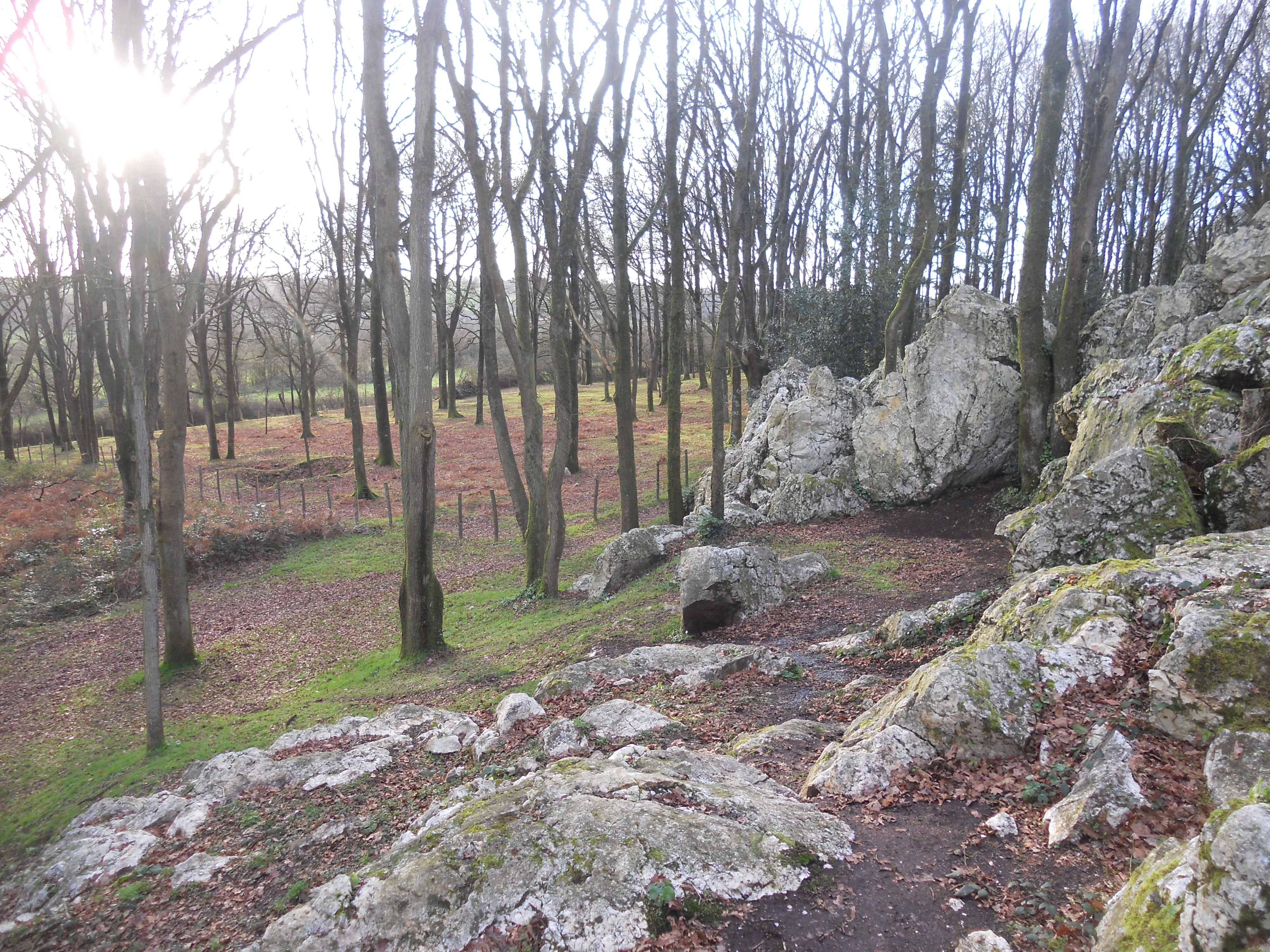 Géocaching Tèrra Aventura "La Corbelière des z'ombres": chasse au trésor à Moulins - photo 4