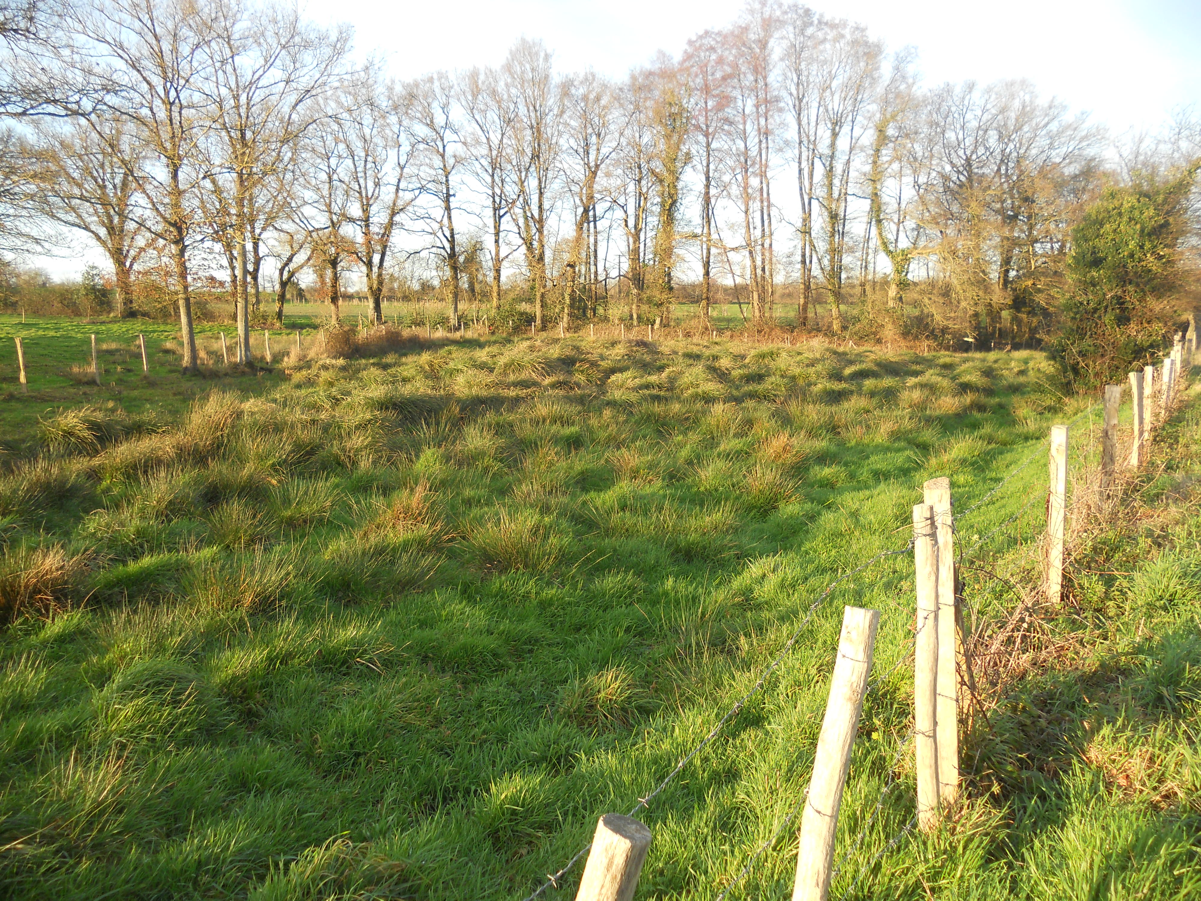 Géocaching Tèrra Aventura "La Corbelière des z'ombres": chasse au trésor à Moulins