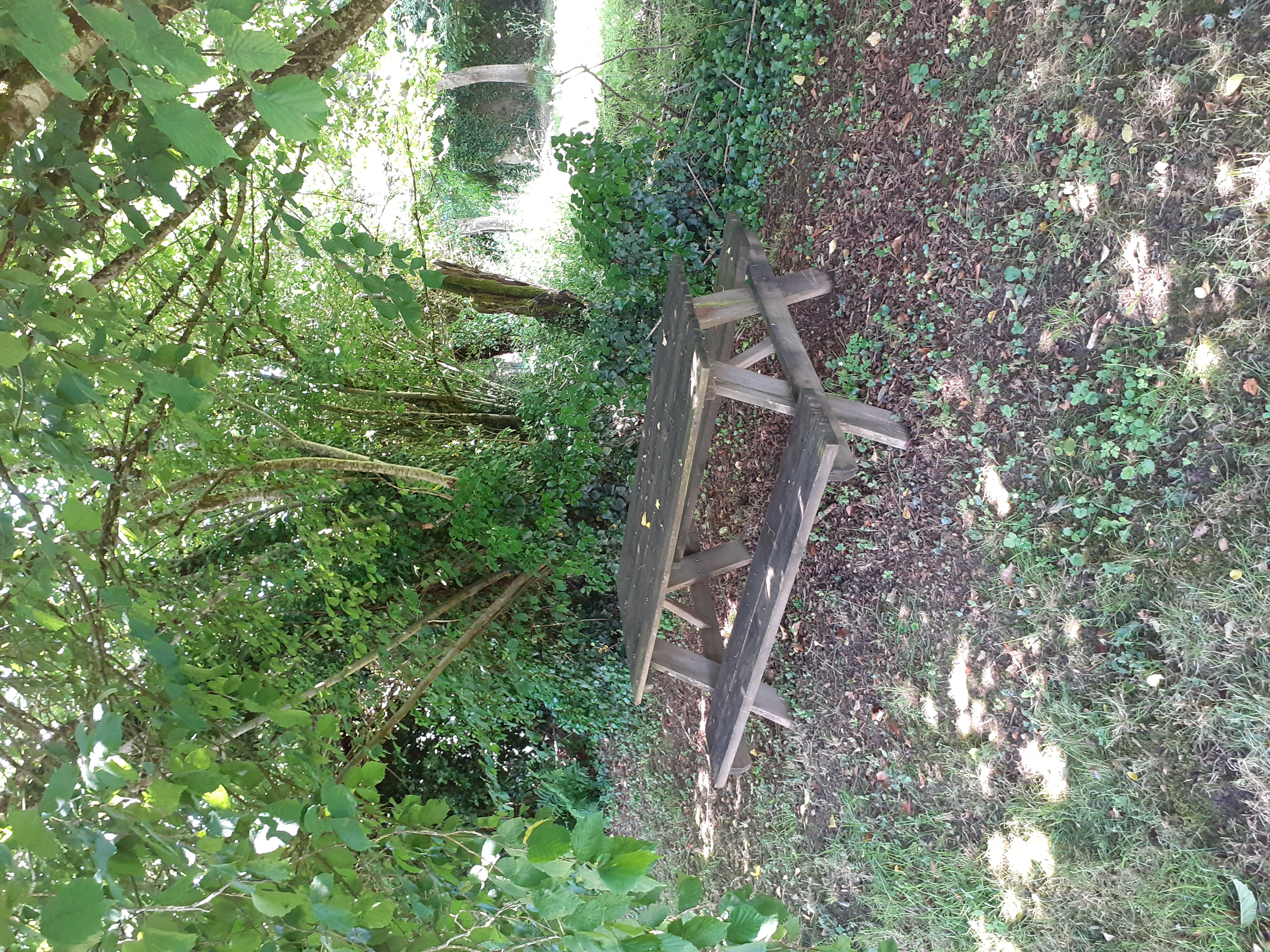 La maison des prés, Saint-Martin-Sainte-Catherine - photo 12