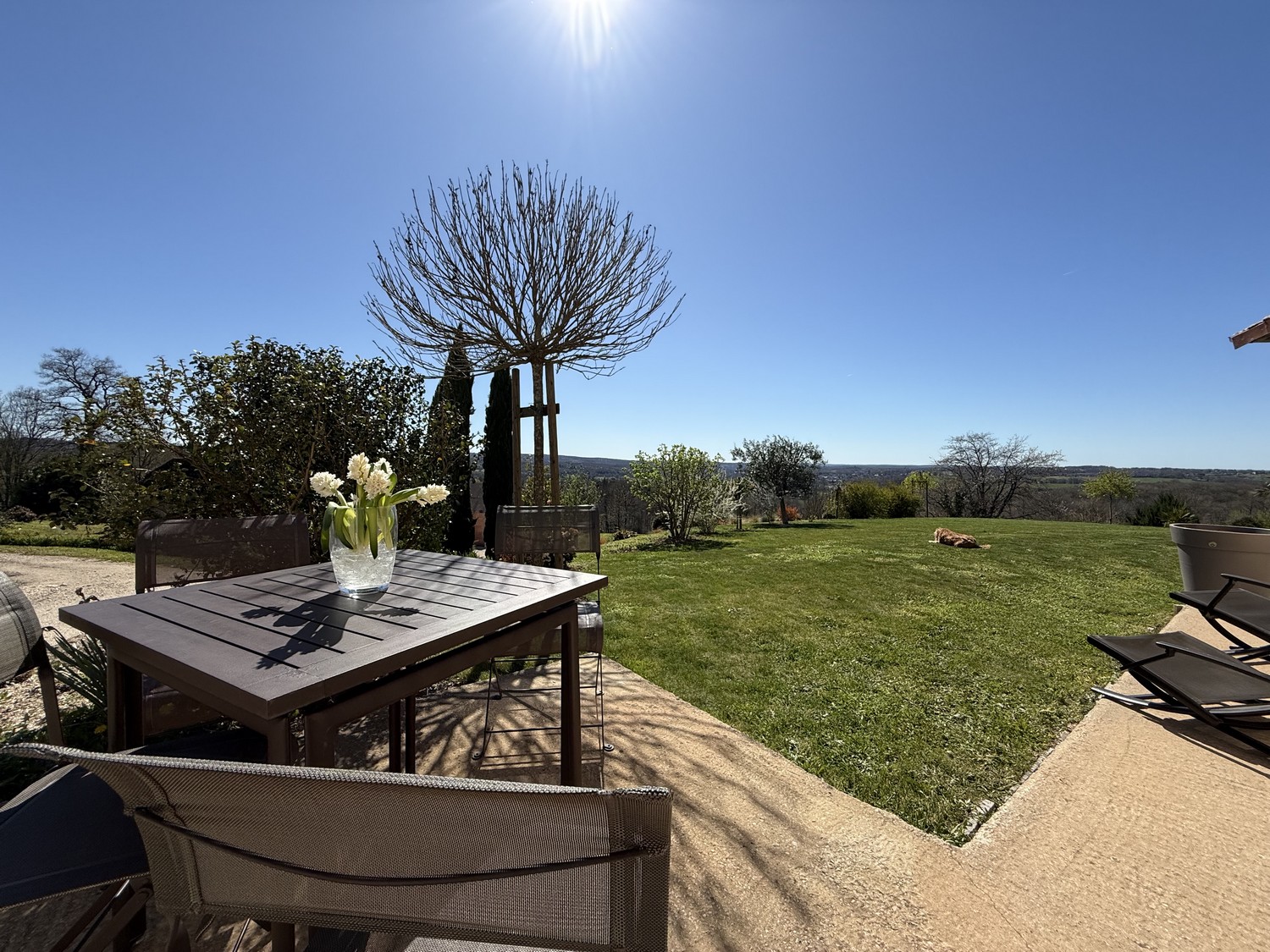 La Terrasse Étoilée, Saint-Médard-d'Excideuil - photo 7