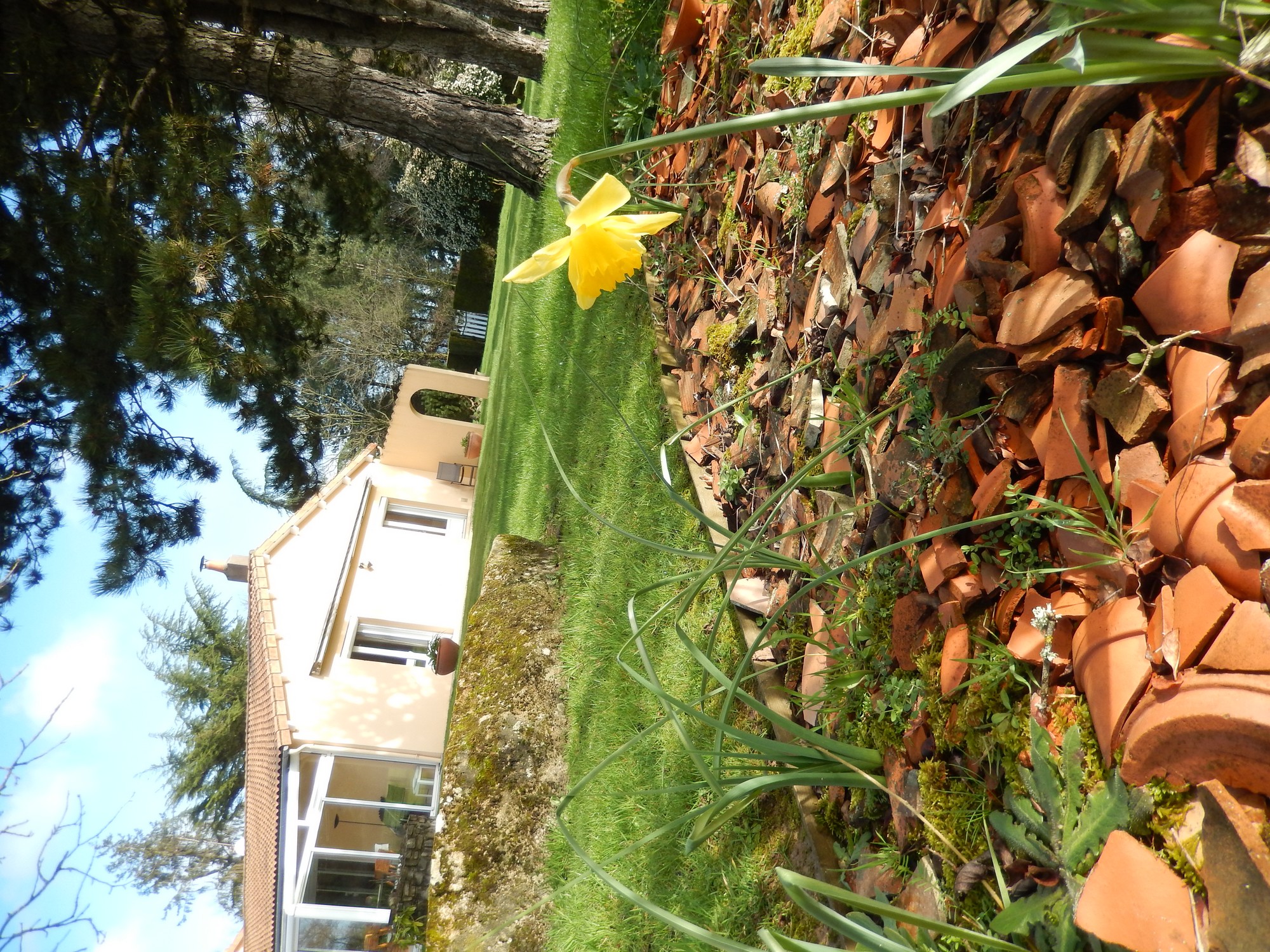 Chambre d'hôtes Les Jards, Bressuire - photo 13