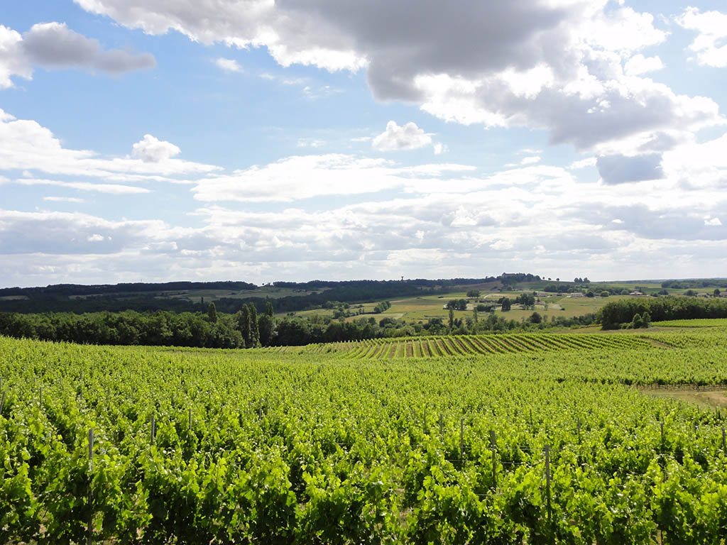 Boucle de Monbos - Thénac, Thénac - photo 3