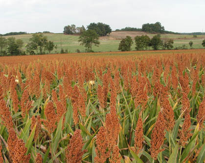 Boucle de Thénac, Thénac - photo 2