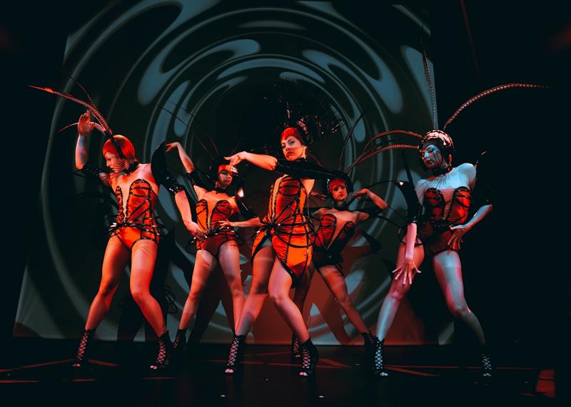 La Fourmi Rouge - Cabaret-Spectacles